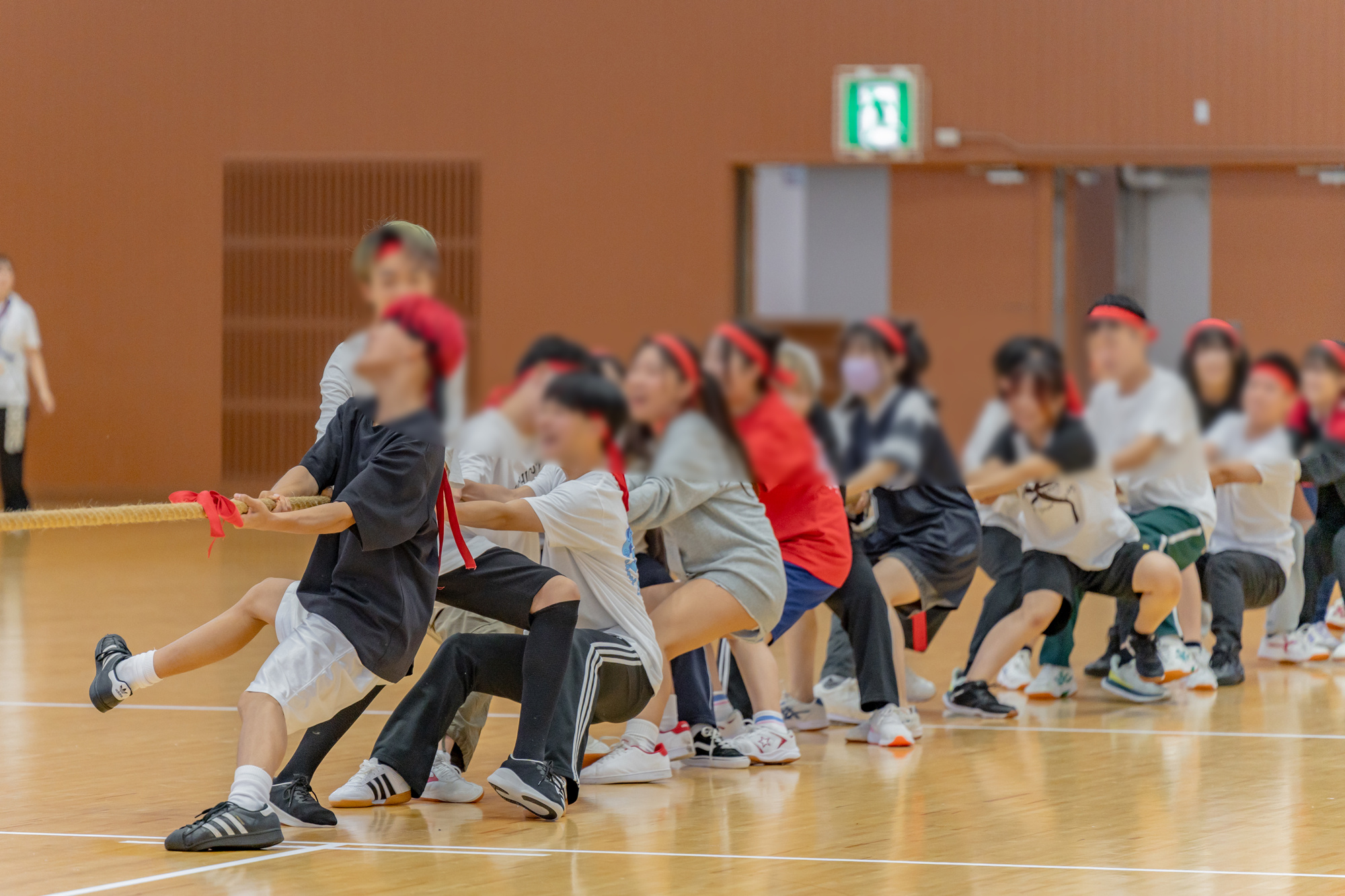 スポーツフェス綱引き