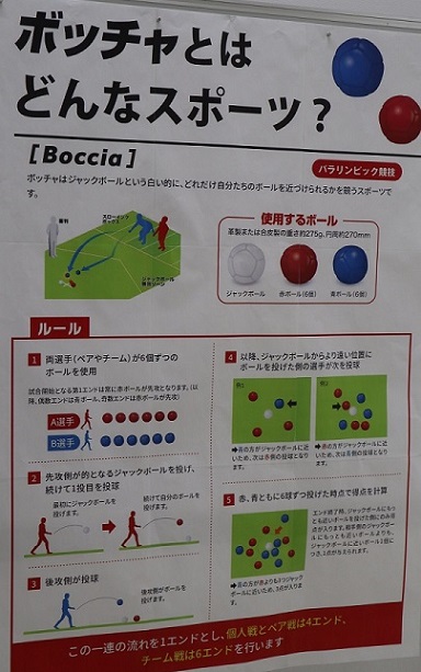 /upload/blog/content/boccha1.jpg