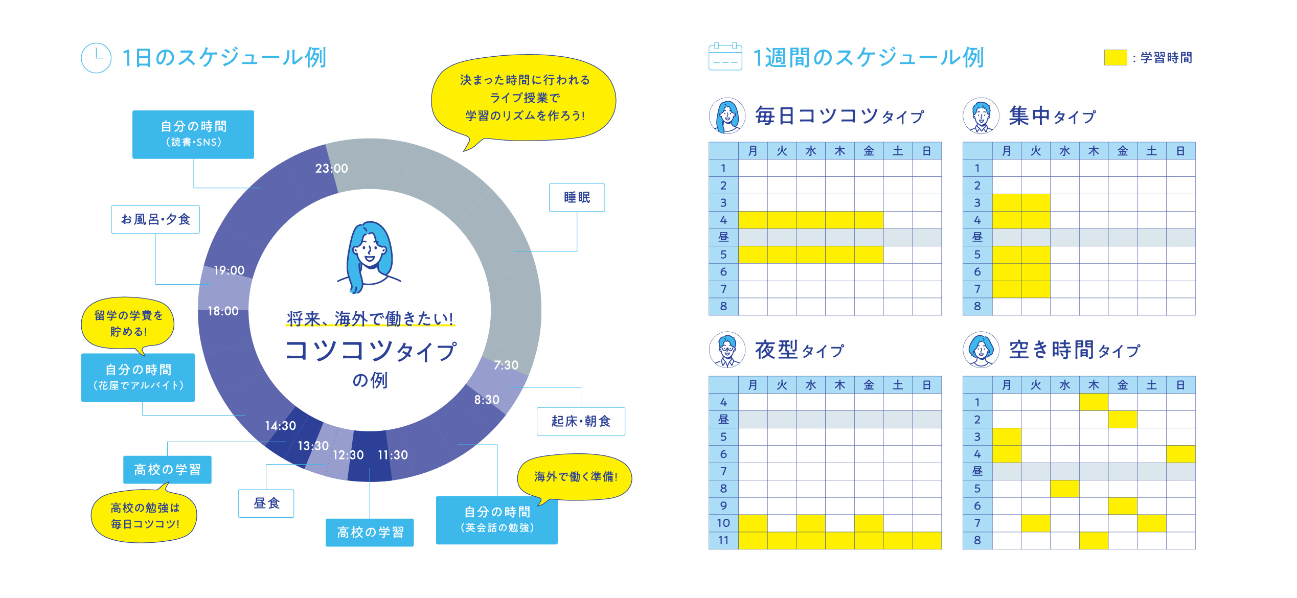 スケジュール例